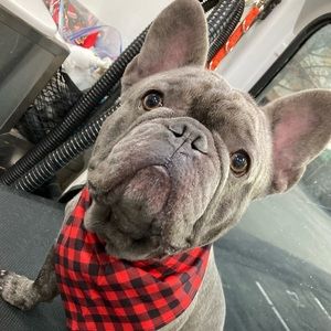 Meet your Posher, Junior